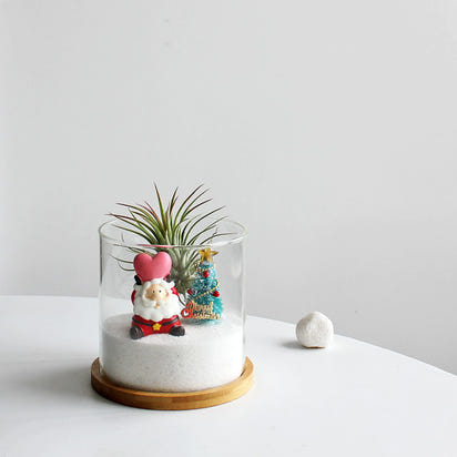 Christmas Gift Glass Flowerpot