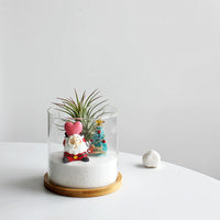 Christmas Gift Glass Flowerpot