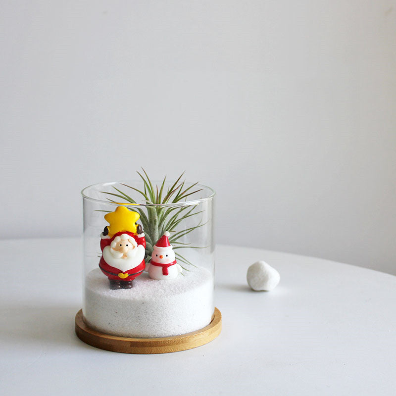 Christmas Gift Glass Flowerpot