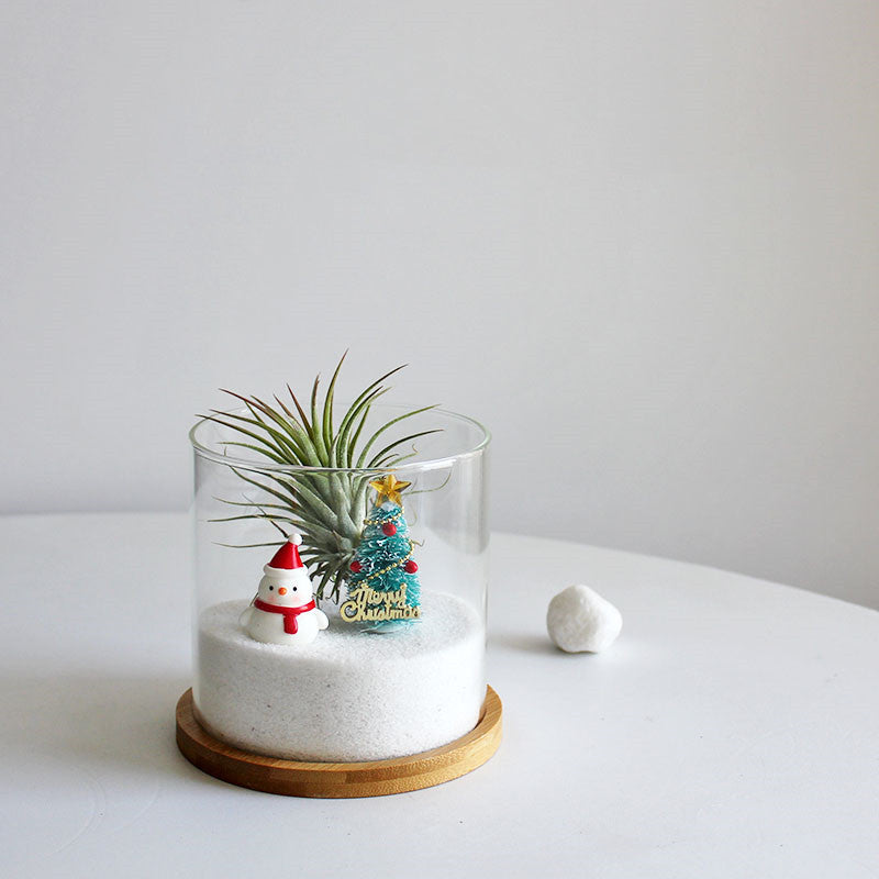 Christmas Gift Glass Flowerpot